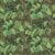 Viridis