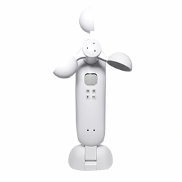 Caracteristica Toldo Extensible Sensor Viento